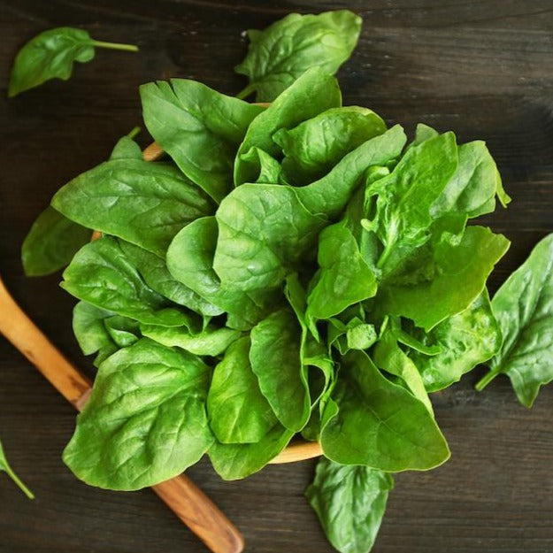Sorrel  • حميض - plantnmore