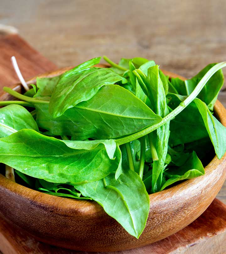 Sorrel  • حميض - plantnmore