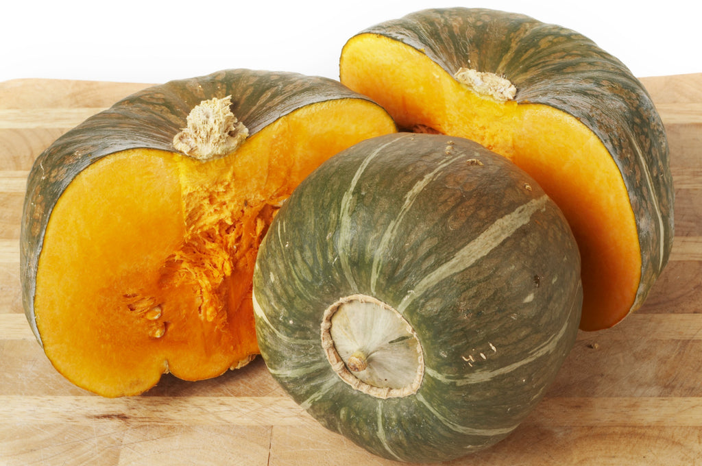 Pumpkin Burgess Buttercup • قرع الزبدة - plantnmore