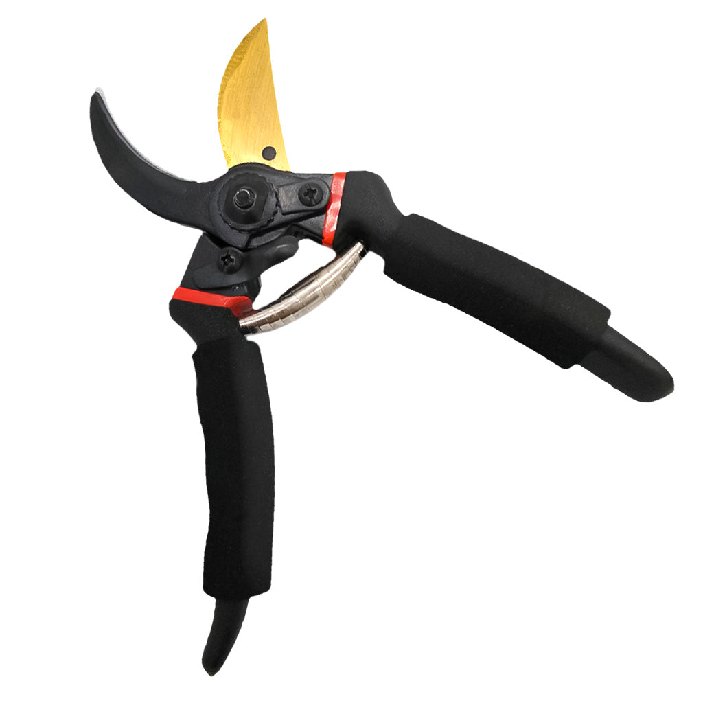 Pruning Shears