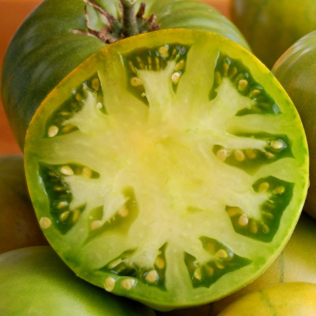Tomato Aunt Rubys Green German •  طماطم أخضر ألماني - plantnmore
