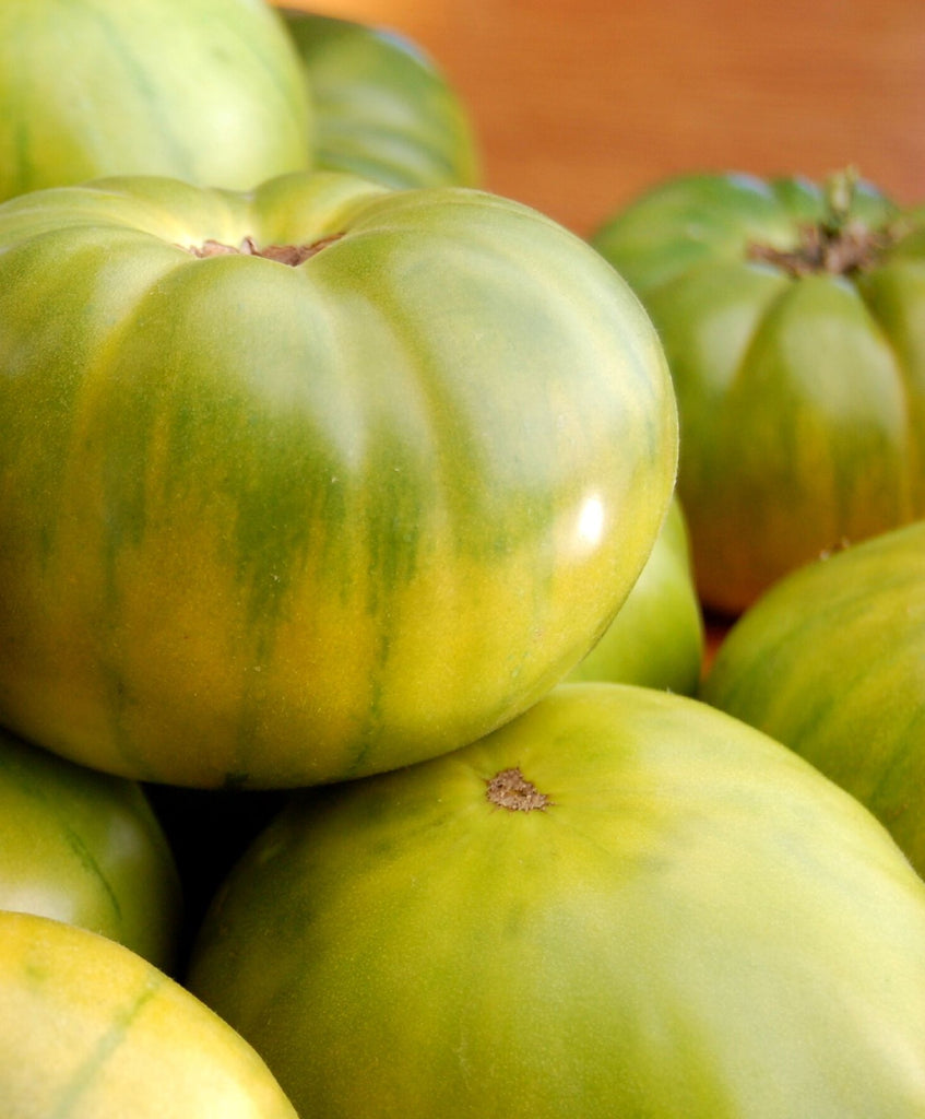 Tomato Aunt Rubys Green German •  طماطم أخضر ألماني - plantnmore