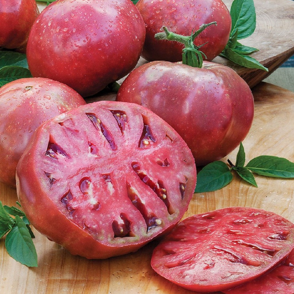 Tomato Cherokee Purple •  طماطم شيروكي بنفسجي - plantnmore