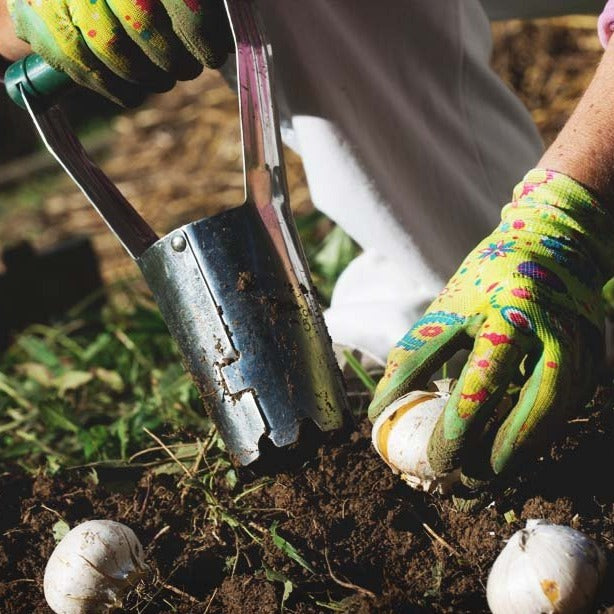 Transplanting Soil Scooper Tool