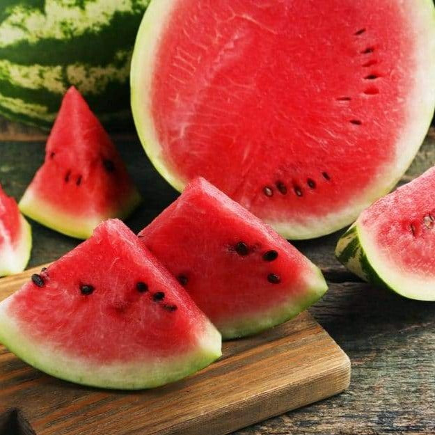 Watermelon Bush Jubilee