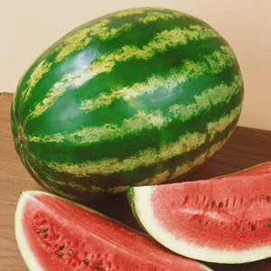 Watermelon Au Producer