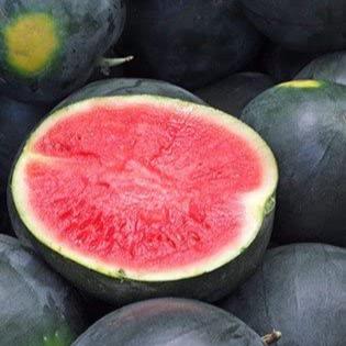 Watermelon Black Diamond