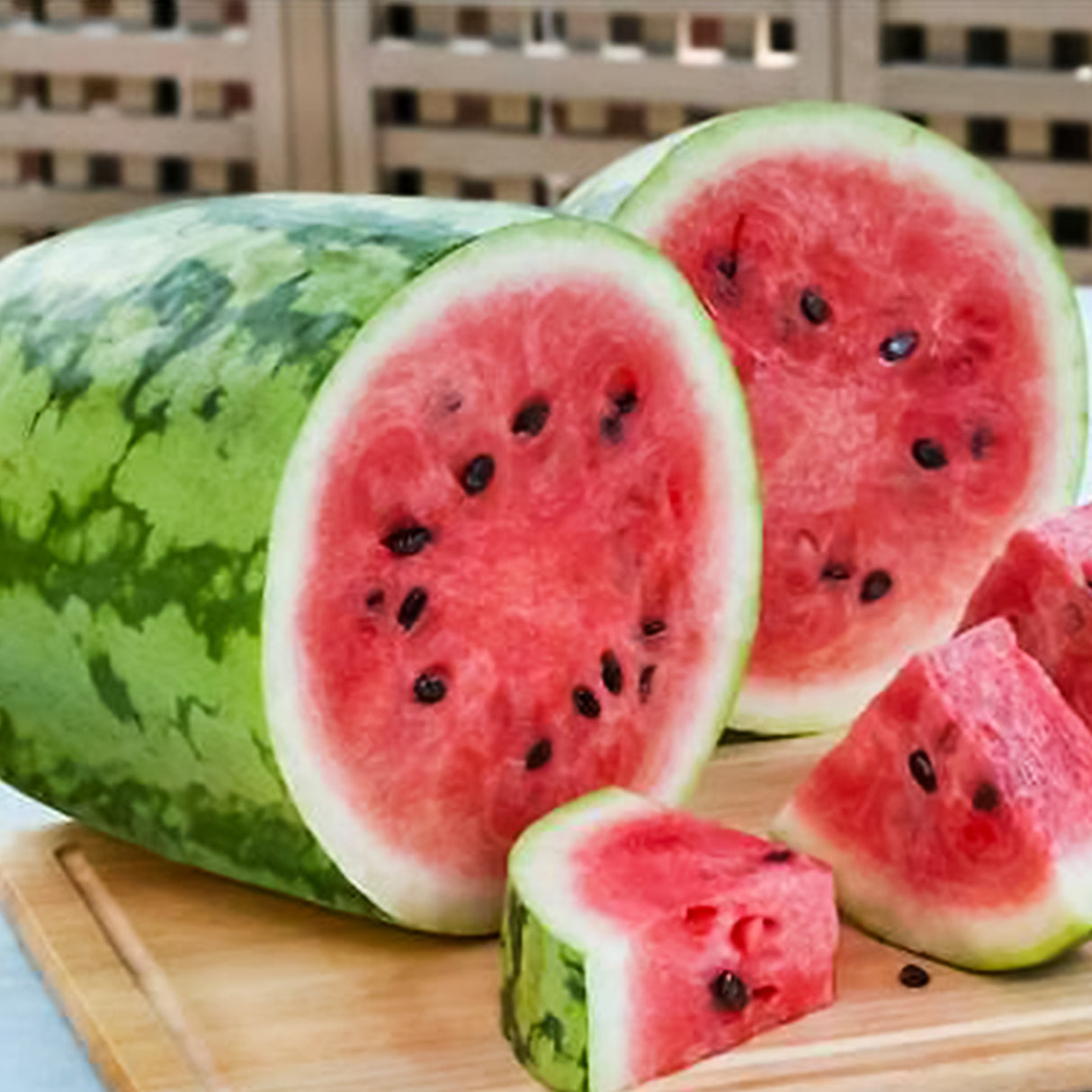 Watermelon Bush Jubilee • بطيخ جوبيلي - plantnmore