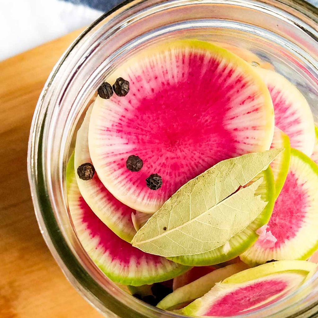 Radish Watermelon • فجل البطيخ - plantnmore