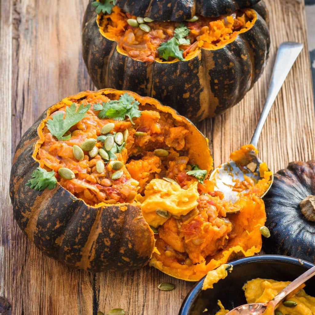 Pumpkin Burgess Buttercup • قرع الزبدة - plantnmore