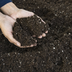  افضل بوتنج سويل