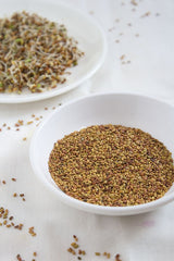 Alfalfa Seeds 114g• حبوب الفالفا للاستنبات - plantnmore