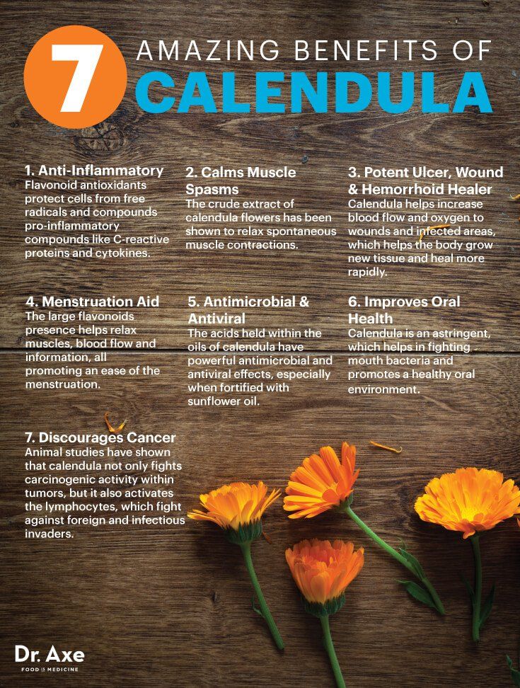 Calendula Pacific Beauty Mixture  • زهرة كالاندولا بديلة الزعفران - plantnmore