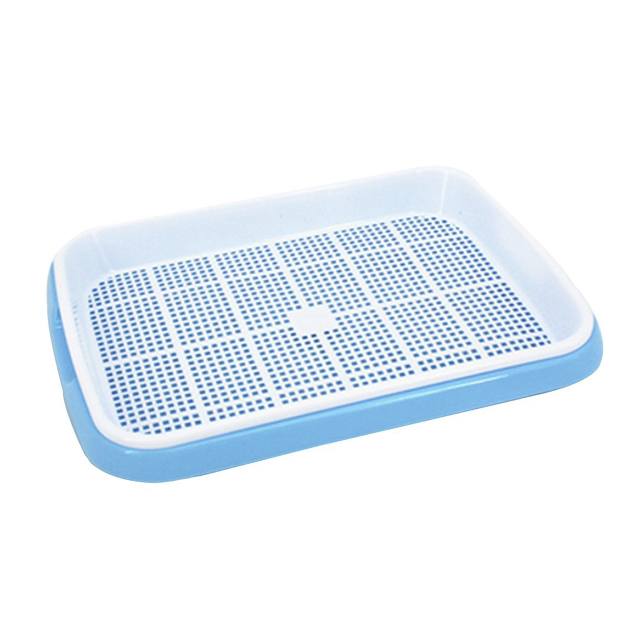 Sprouting Tray • صينية الإستنبات و الميكروجرين - plantnmore