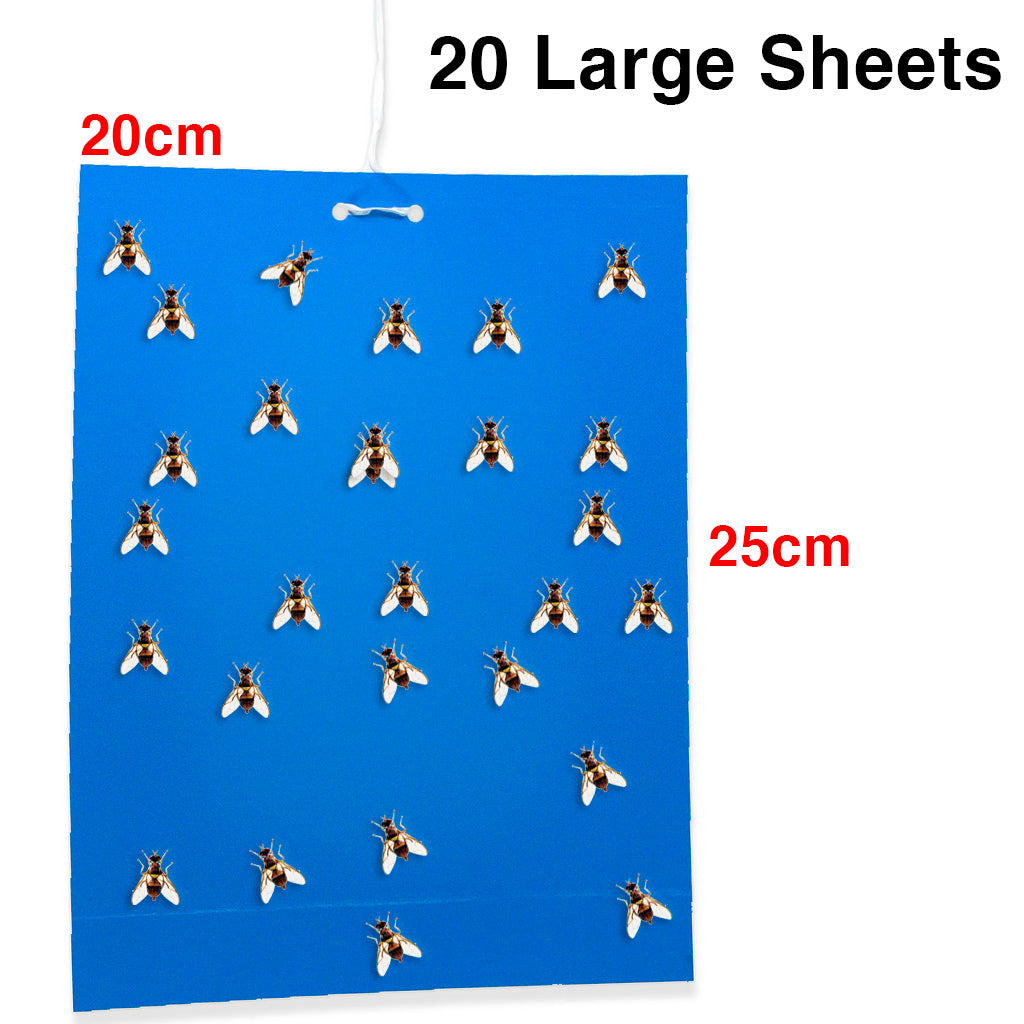 Blue Insect Sticky Traps 20 – plantnmore