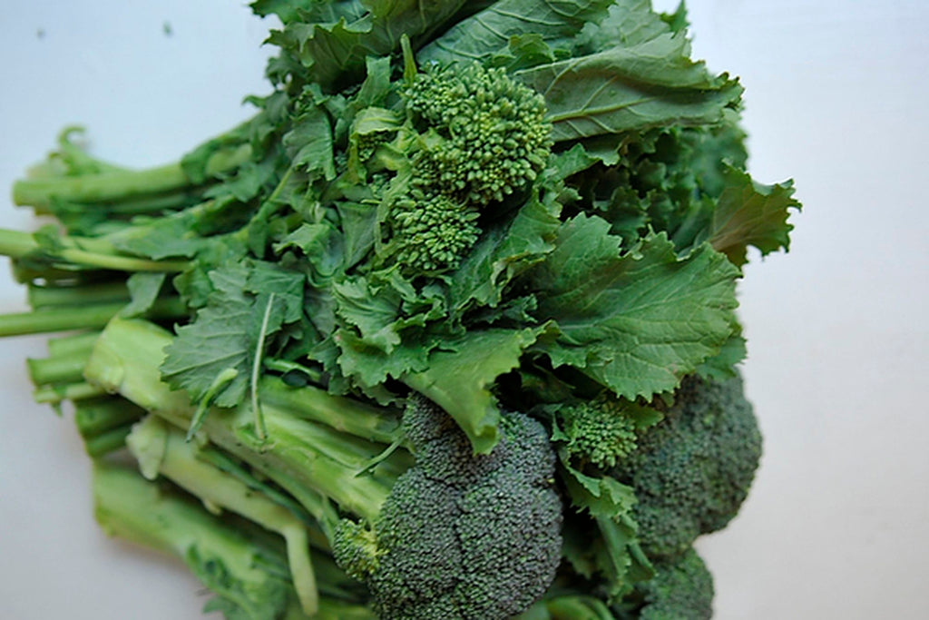 Broccoli Raab • بروكليني سريع - plantnmore