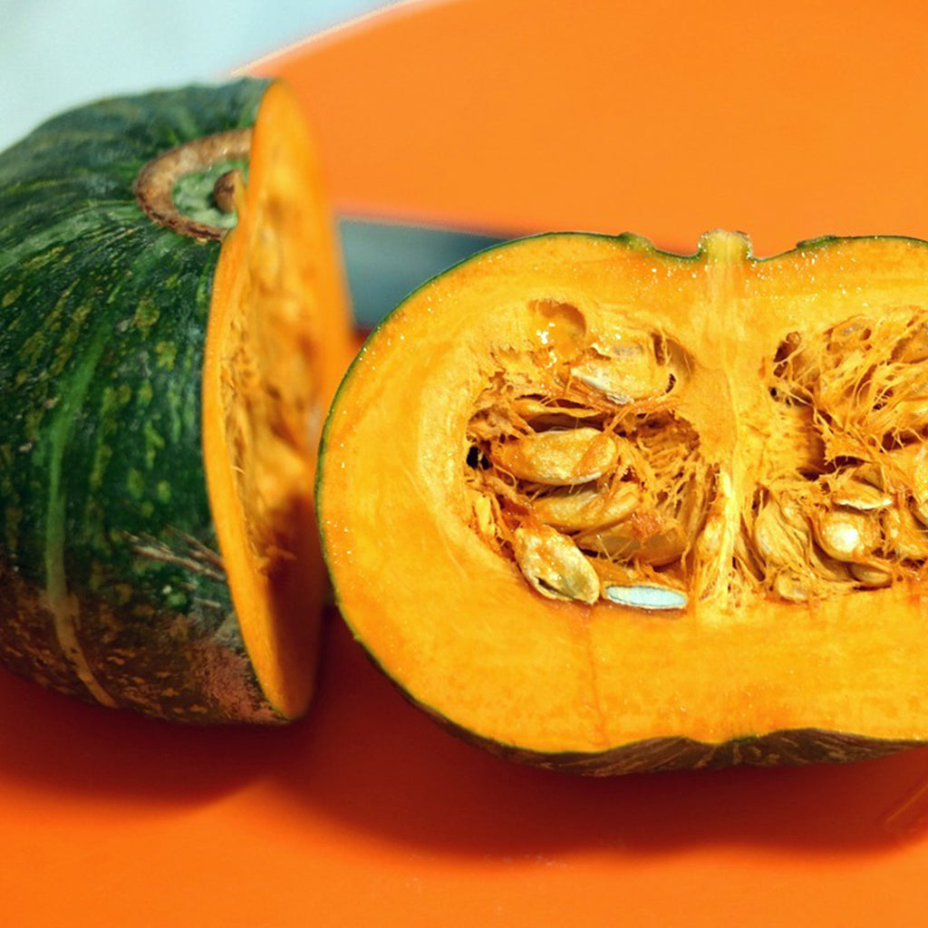 Pumpkin Burgess Buttercup • قرع الزبدة - plantnmore
