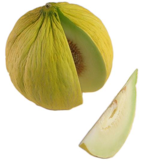 Melon Crenshaw • بطيخ كرينشاو - plantnmore