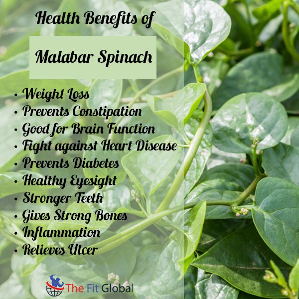 Red Malabar Spinach • سبانخ مالابار أحمر - plantnmore