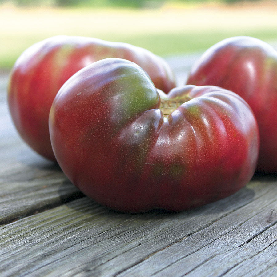 Tomato Cherokee Purple •  طماطم شيروكي بنفسجي - plantnmore