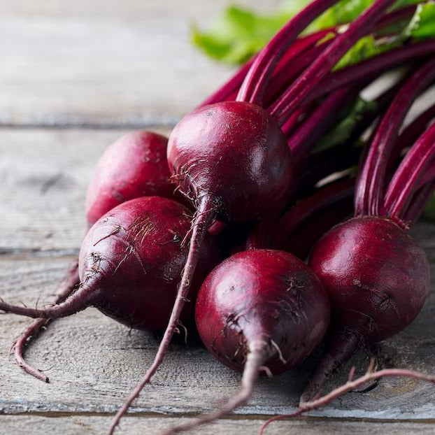 Beetroot - Detroit Dark Red • شمندر ديترويت احمر داكن - plantnmore
