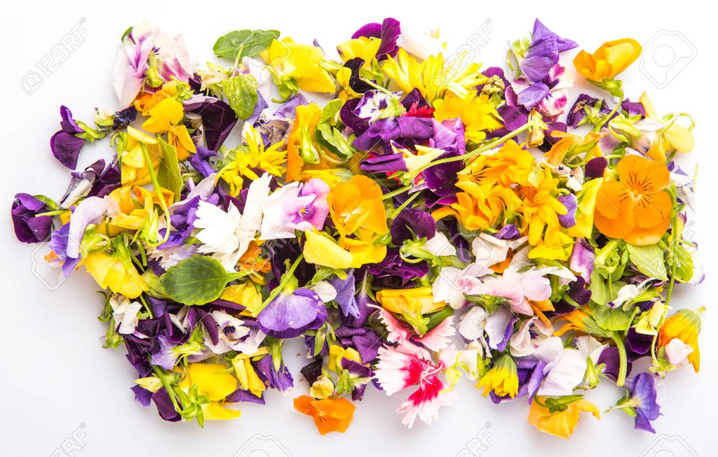 Edible Flower Mix • بذور زهور قابلة للأكل - plantnmore