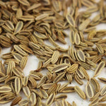 Fennel Microgreen • شومر ميكروجرين - plantnmore
