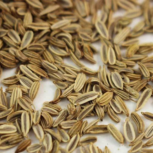 Fennel Microgreen • شومر ميكروجرين - plantnmore