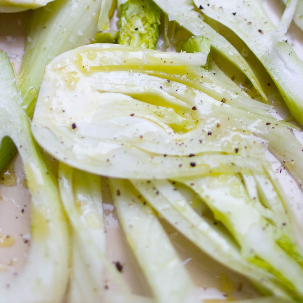 Fennel Florence • شومر فلورنس - plantnmore