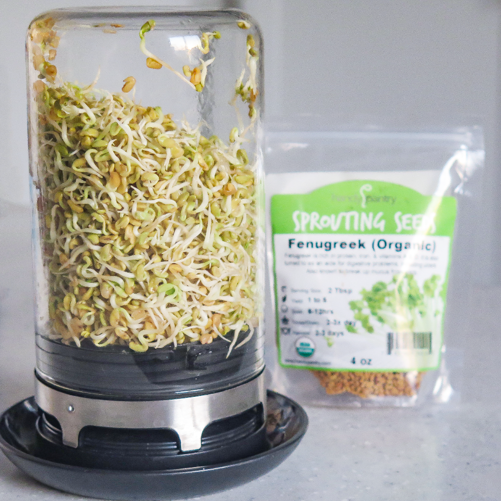 Fenugreek 114g • حلبة - plantnmore