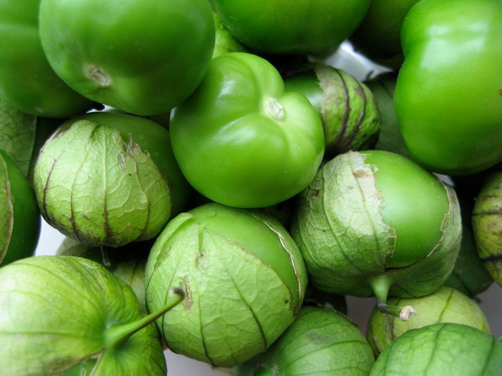 Tomatillo Grande Rio Verde • توماتيو اخضر كبير - plantnmore