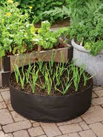 Fabric Raised Bed 100 gallon ● حوض ريزد بد ١٠٠ غالون - plantnmore