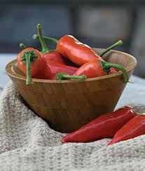 Anaheim Chili Pepper • فلفل اناهايم - plantnmore