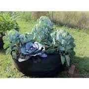 Fabric Raised Bed 100 gallon ● حوض ريزد بد ١٠٠ غالون - plantnmore