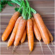 Carrot Scarlet Nantes •  جزر نانتس - plantnmore