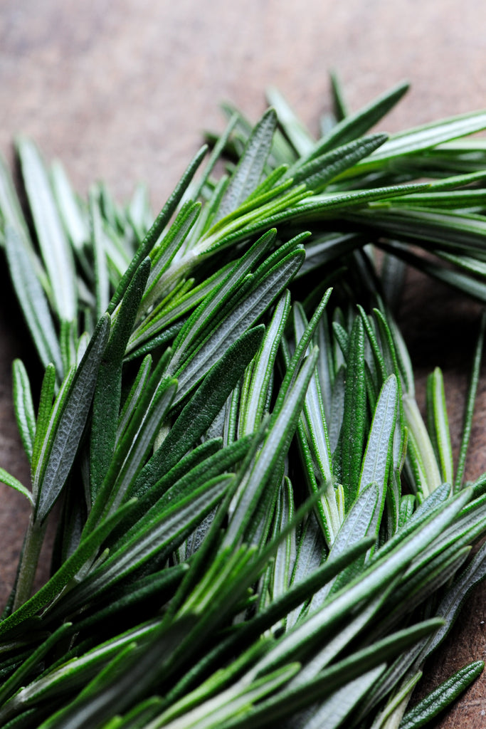Rosemary • اكليل الجبل - plantnmore