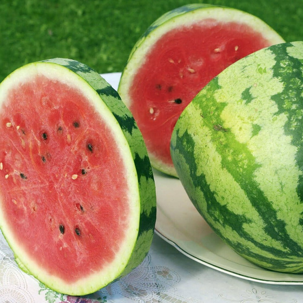 Watermelon Bush Jubilee • بطيخ جوبيلي - plantnmore