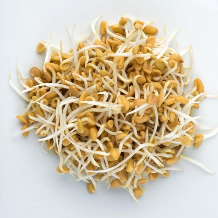 Fenugreek 114g • حلبة - plantnmore