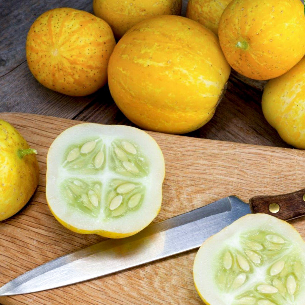 Cucumber Lemon • خيار ليموني - plantnmore