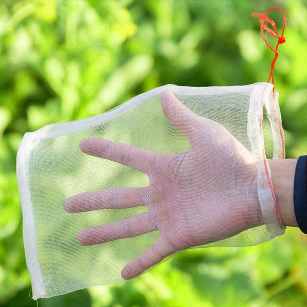 Large Insect Protection Bag • أكياس حماية من الحشرات - plantnmore