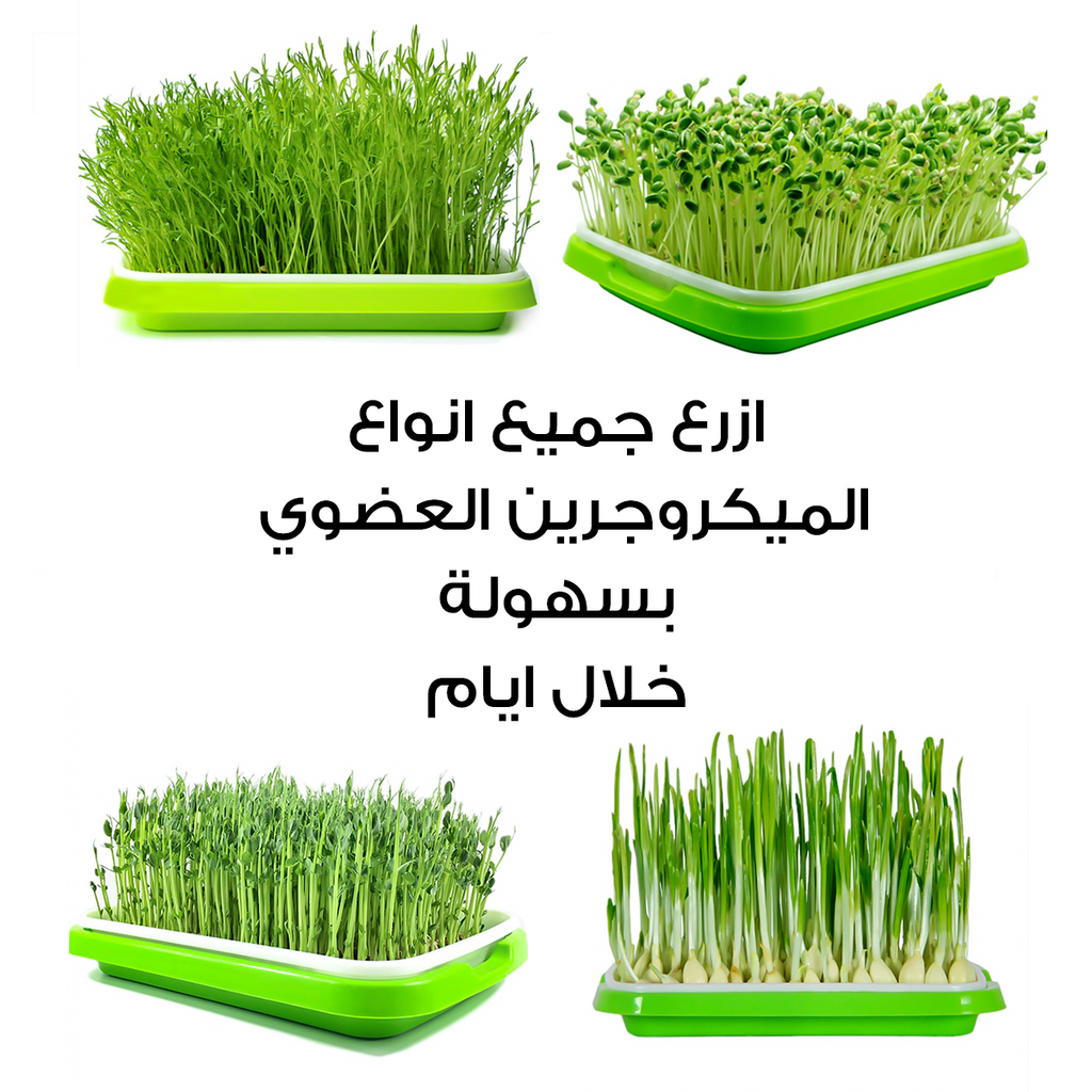Sprouting Tray • صينية الإستنبات و الميكروجرين - plantnmore