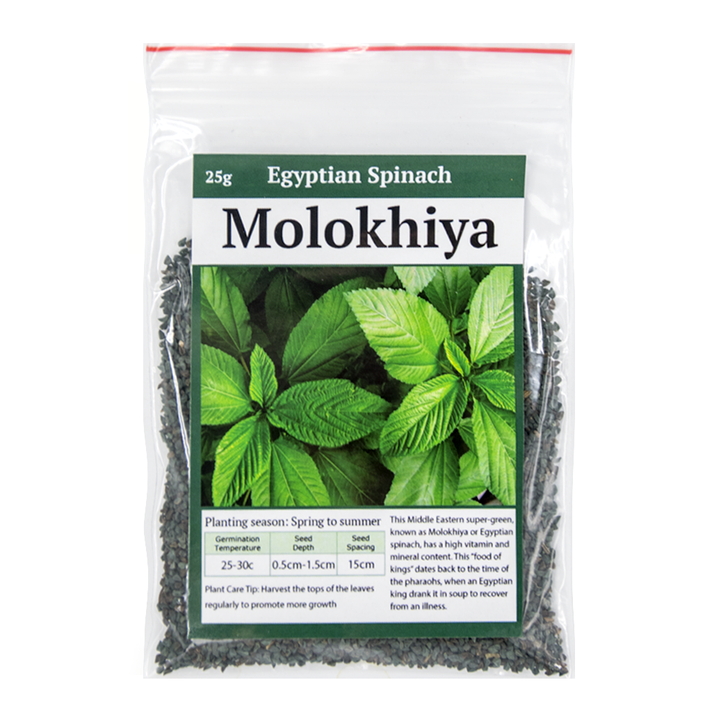 Molokhiya •  ملوخية - plantnmore