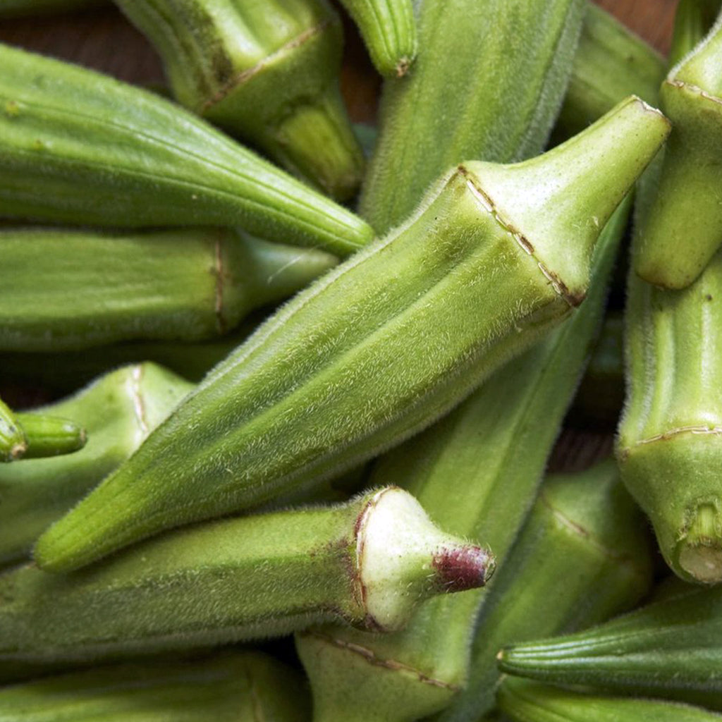 Okra Clemson Spineless • باميا - plantnmore