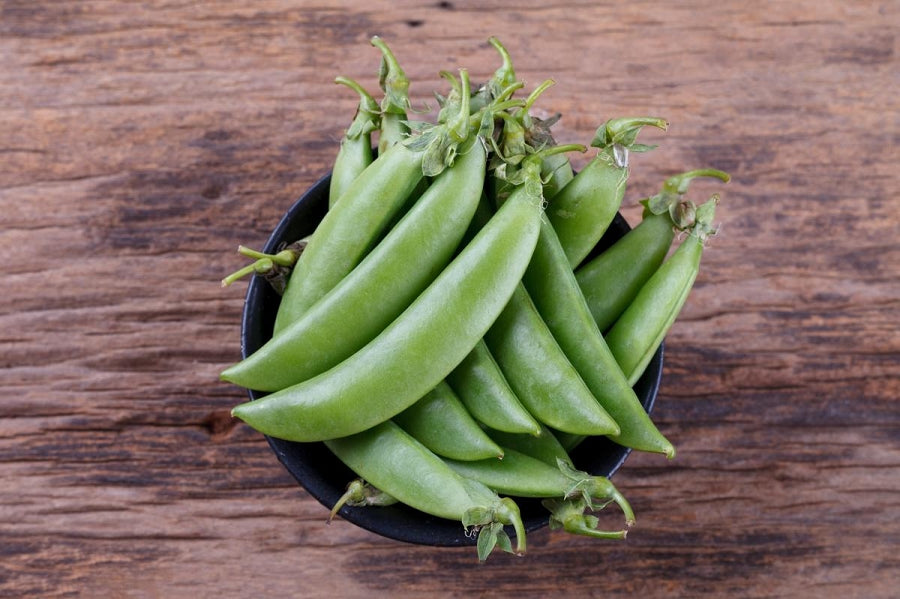 Snap Pea Sugar Daddy  • بزاليا حلوة - plantnmore