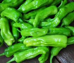 Italian Pepperoncini  • فلفل بيبرونجيني - plantnmore