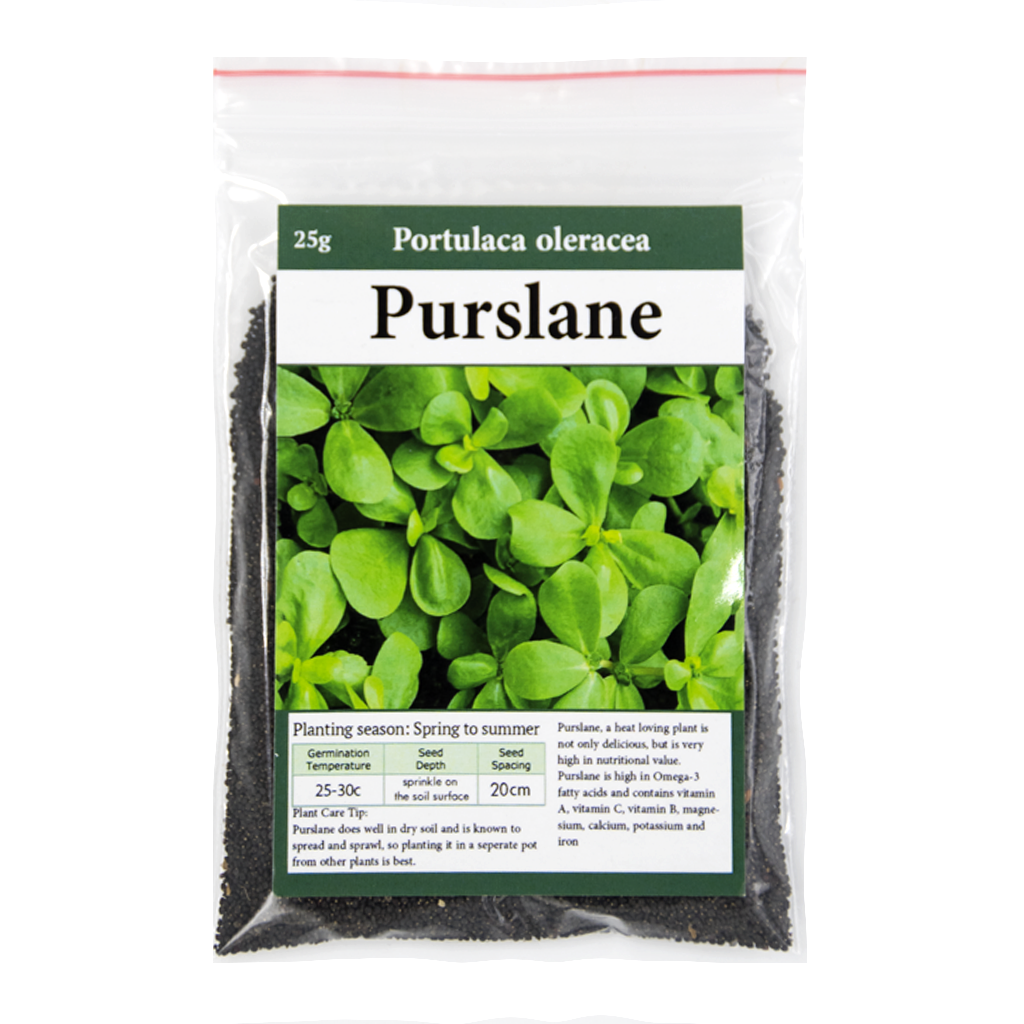 Purslane •  بربير - plantnmore
