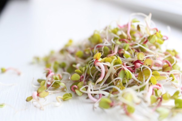 Radish 114g • فجل - plantnmore