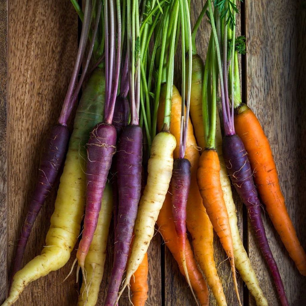Carrot rainbow mix  • جزر ملون - plantnmore