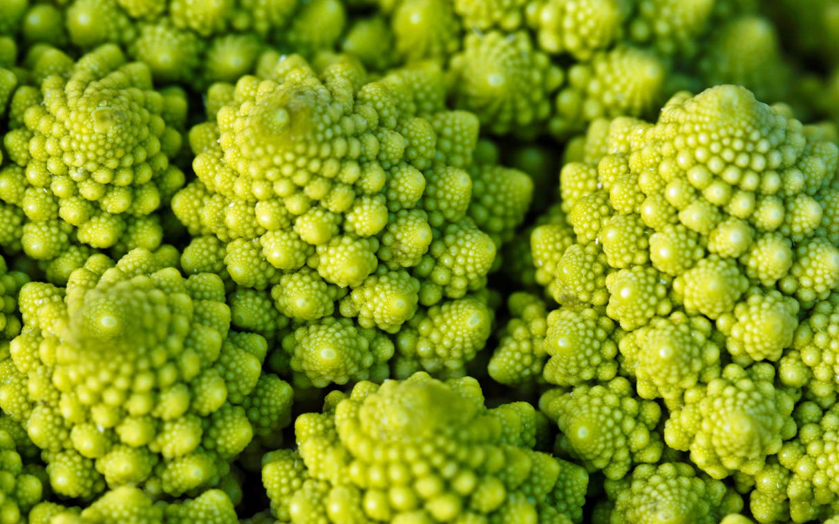 Broccoli Romanesco • بين البروكلي والزهرة - plantnmore