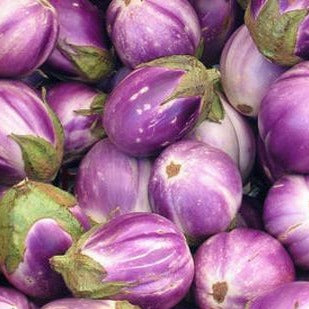 Eggplant Rosa Bianca • باذنجان فاتح - plantnmore
